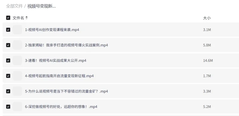视频号变现新风口AI爆款创作课程-春雨网创