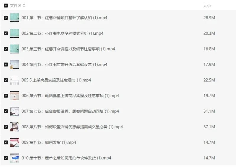 小红书电商高级课程概述，新手小白必学方法，实操教学+案例分析-春雨网创